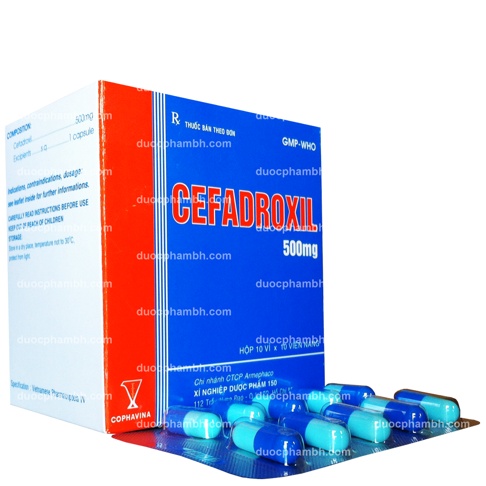 Cefadroxil 500mg Armephaco (H/100v)